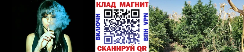 Где купить Глазов МАРИХУАНА  БУТИРАТ  АМФЕТАМИН  Кокаин  Меф мяу мяу  A PVP 