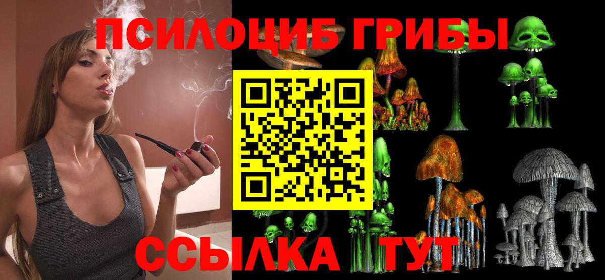 Псилоцибиновые грибы мицелий Глазов